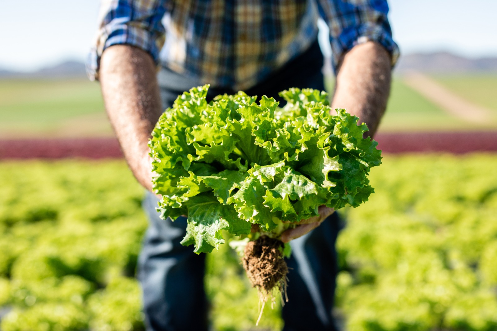 WhatsApp Image 2023-04-25 at 02.29.37