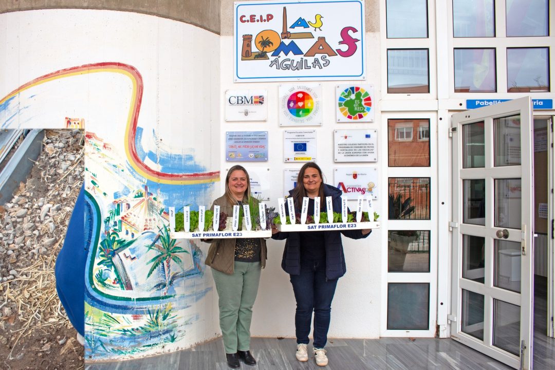 417544923_720851470203717_645797622358610305_n