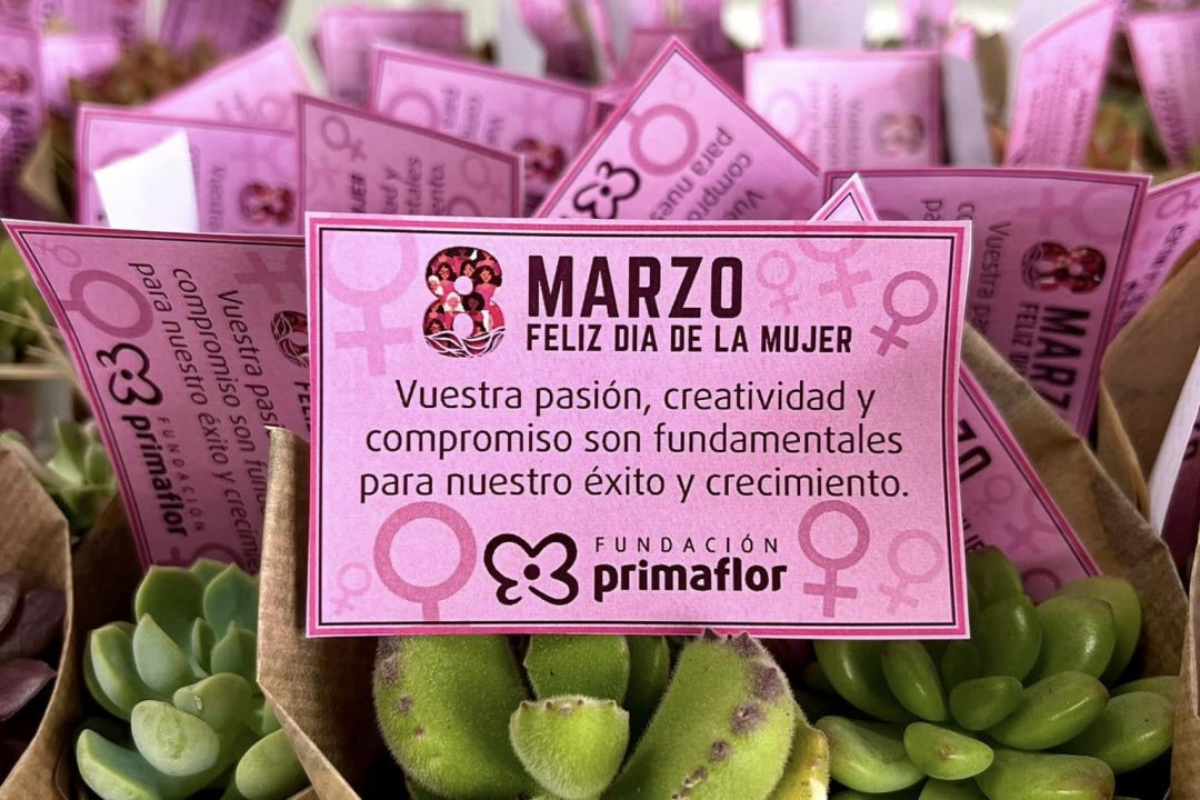 481807804_952243887064473_8955817966872743293_n