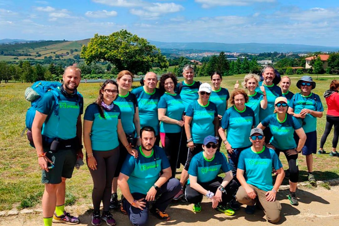 Camino de santiago primaflor