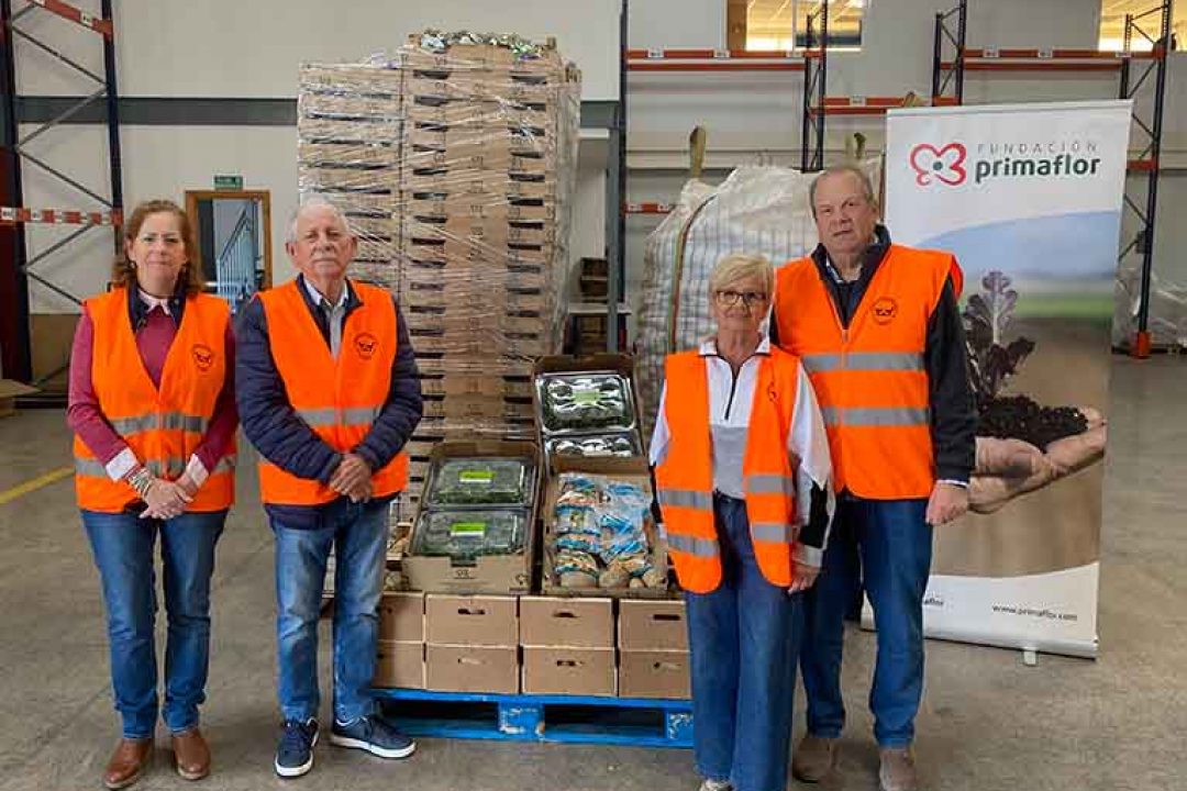 Donación Banco de Alimentos