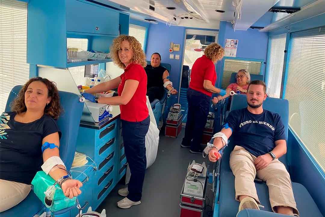 donacion de sangre web