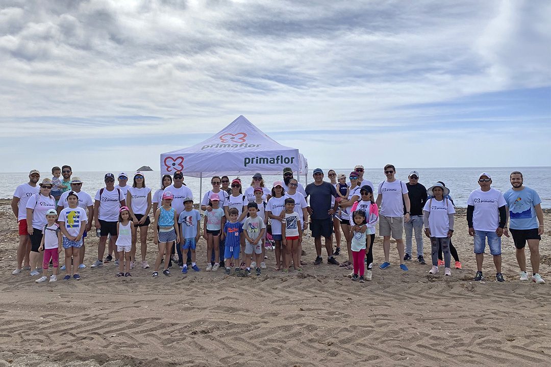 recogida de residuos